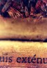 INTIMITE
